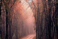 明升下载：[NBA]全明星周末全明星赛 库里集锦.