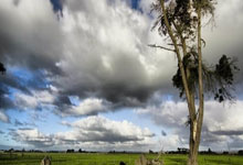 明升官网:2022世界杯英格蘭簡介.