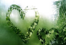 明升体育:英超第9輪曼聯1-0西布朗 B費逃點+連續兩罰命中點球.