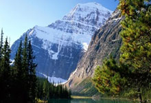 馬克西豪取33分12籃板 塔圖姆交出32分15籃板 兩隊各有三人得分20+ 76人令綠軍遭遇首場連敗.