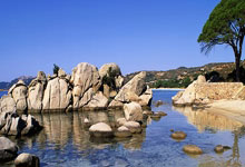 明升MS88:2002年今天 江蘇隊創下CBA單場投籃命中率紀錄87%.